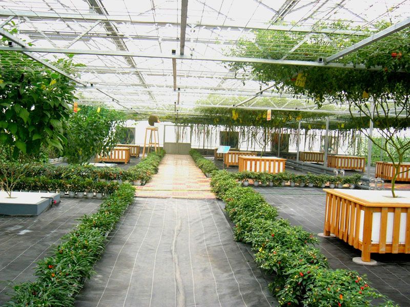 B(ti)͏dc(din)鿴Ԕ(x)Ϣ