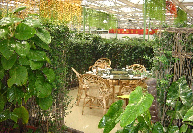 B(ti)͏dc(din)鿴Ԕ(x)Ϣ