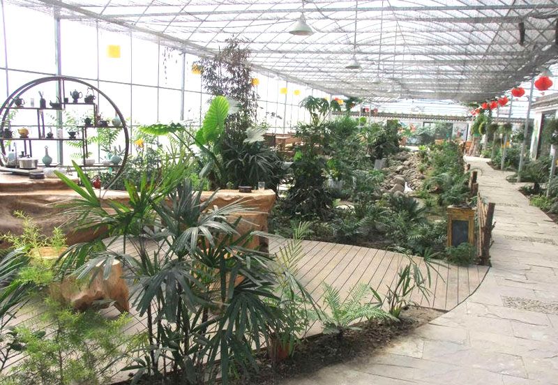 B(ti)͏dc(din)鿴Ԕ(x)Ϣ