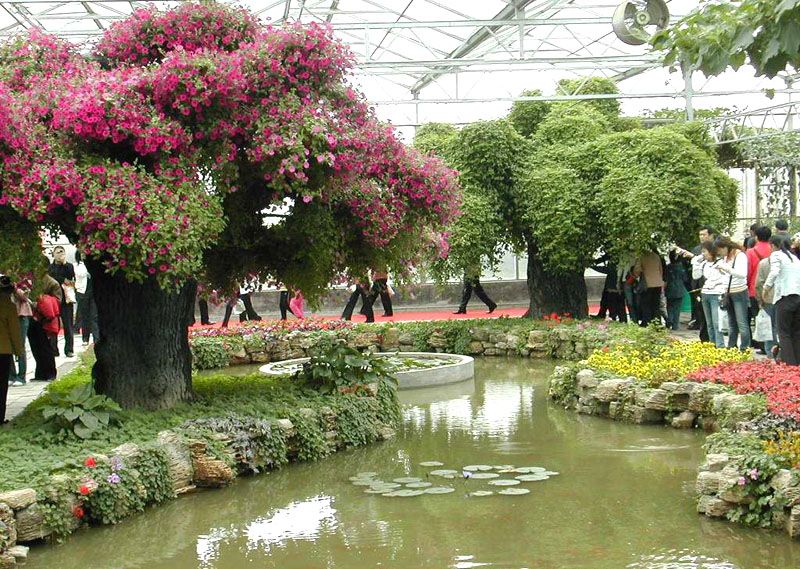 B(ti)͏dc(din)鿴Ԕ(x)Ϣ