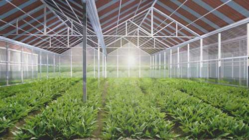 r(nng)I(y)c(din)鿴Ԕ(x)Ϣ