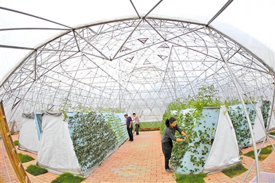 B(nio)c(din)鿴Ԕ(x)Ϣ