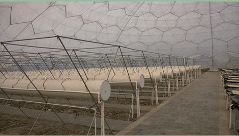 B(nio)c(din)鿴Ԕ(x)Ϣ