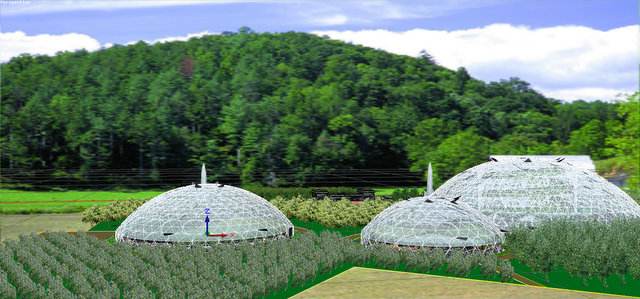 B(nio)c(din)鿴Ԕ(x)Ϣ