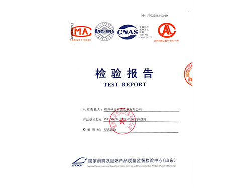 檢驗(yàn)報(bào)告